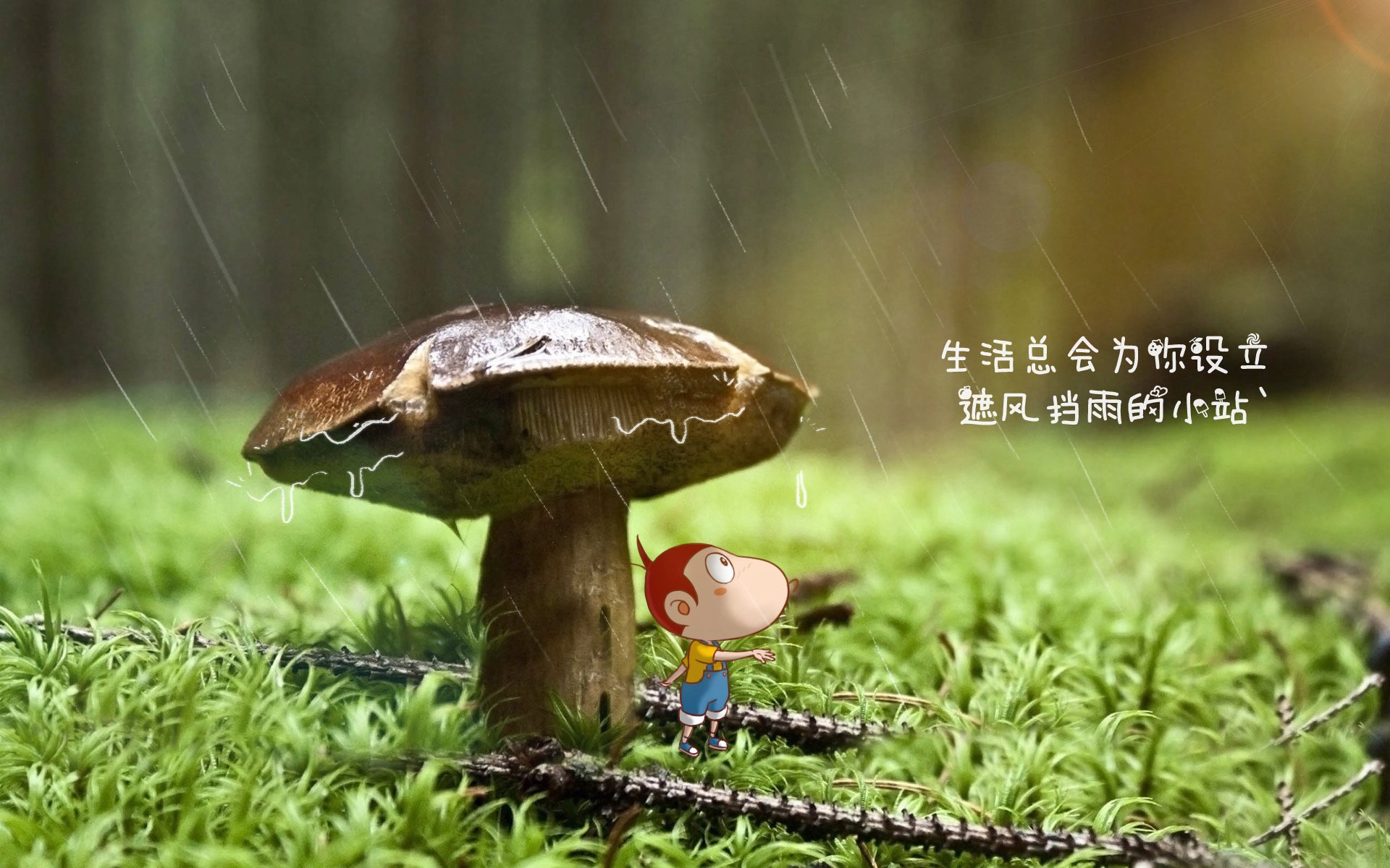 开云下载-“德甲战火升腾，豪门纷纷破纪录”，德甲榜首大战