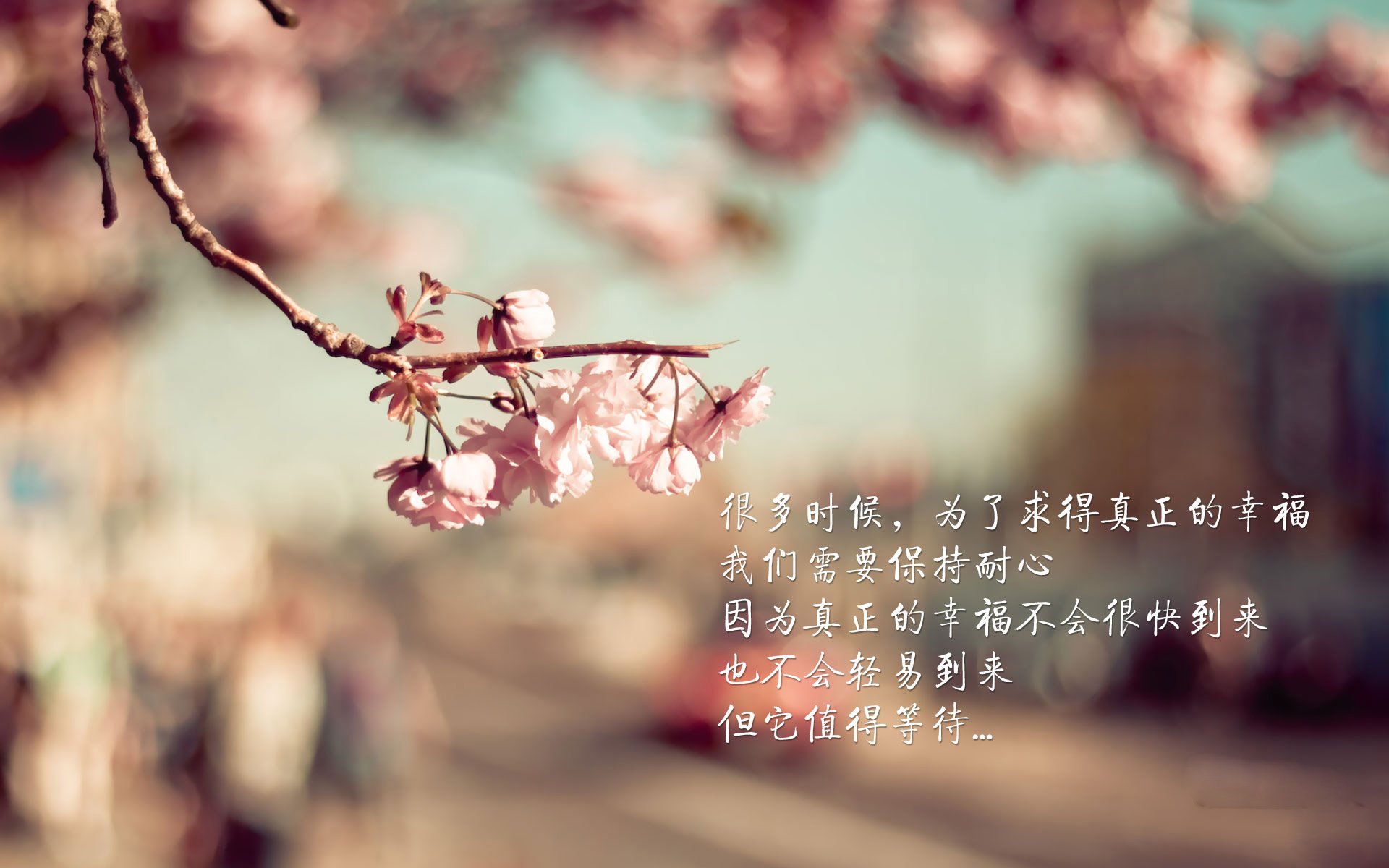 哥伦比亚女足在巴黎奥运会上表现出色，赢得银牌，哥伦比亚足球美女