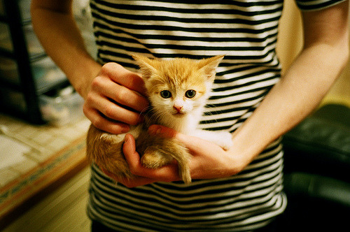 中国篮球青训体系发展现状及问题分析,中国篮球青训队