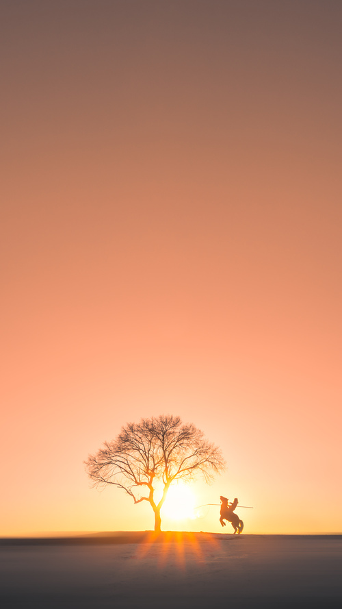 中国篮球青训体系发展现状及问题分析,中国篮球青训队