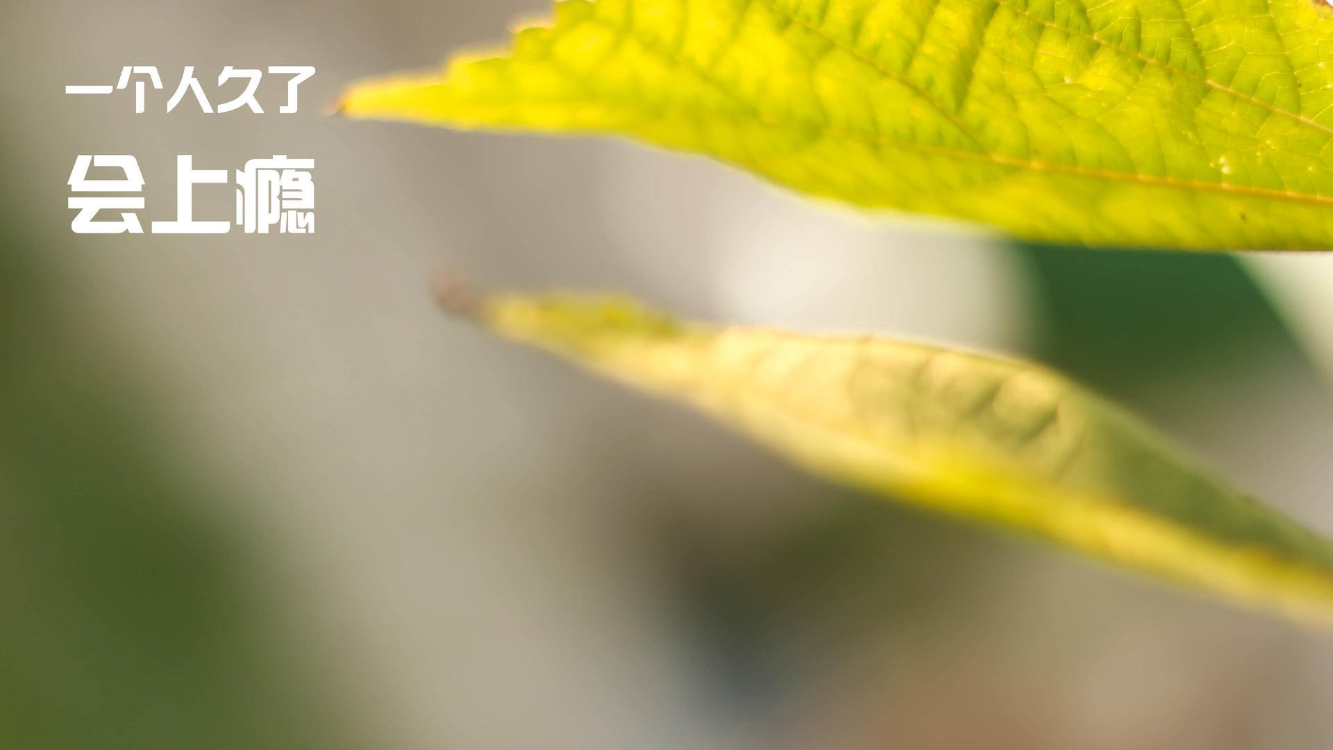 德甲球队构建动态战术模拟系统提升临场应变