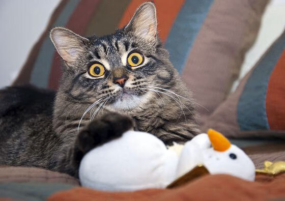 新闻中心新员工培训顺利结业,新员工入职培训结业典礼简报