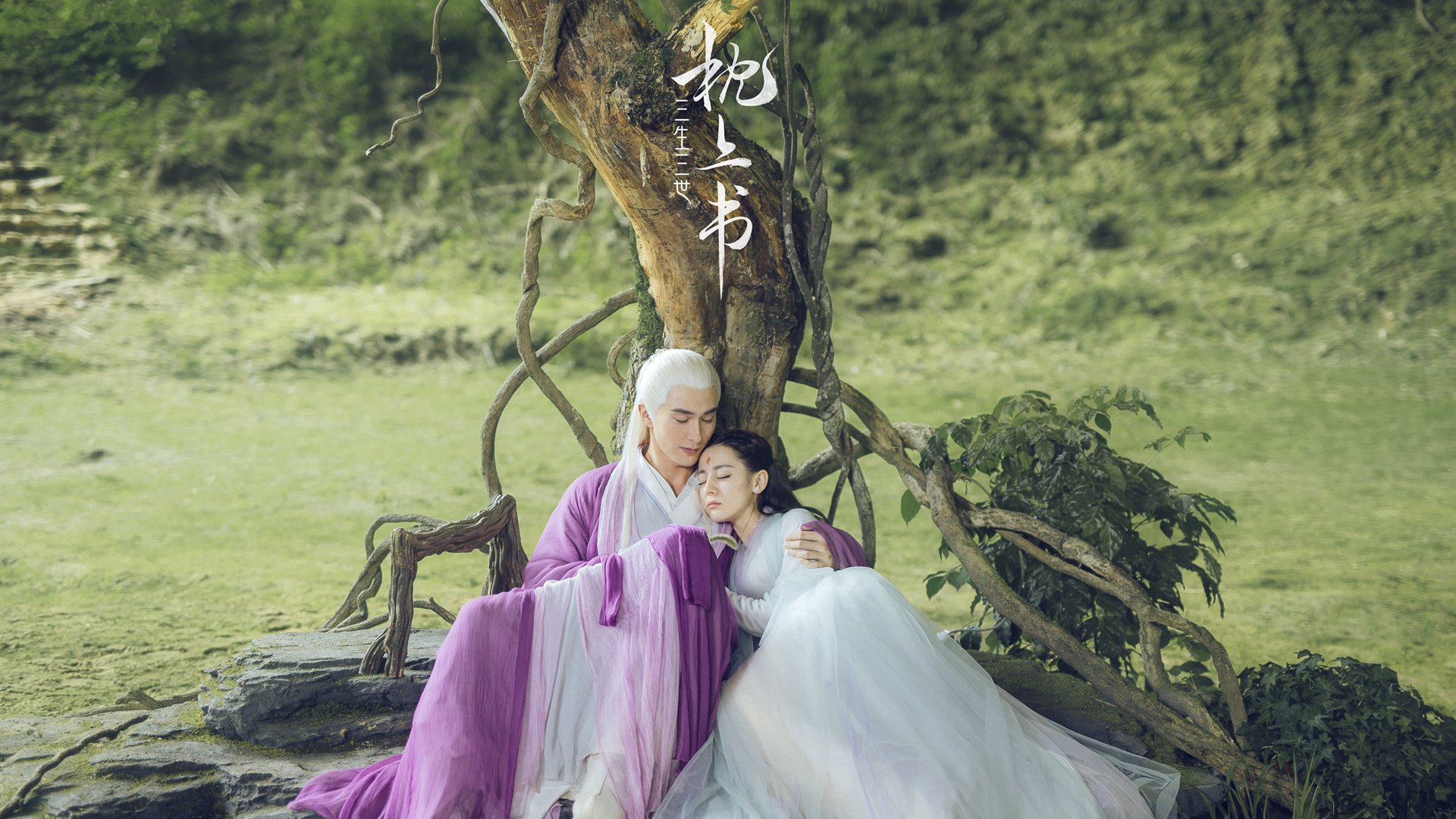 青少年体育活动组织方案完善,实施青少年体育活动促进计划培育青少年体育爱好