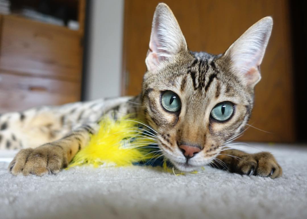 青少年体育运动习惯养成及干预对策,青少年体育运动应注意哪些健康卫生问题