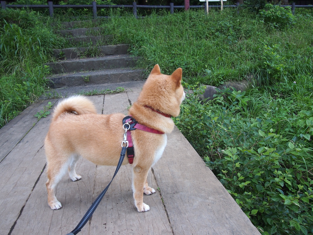 高校训练数据分析,训练成绩数据分析