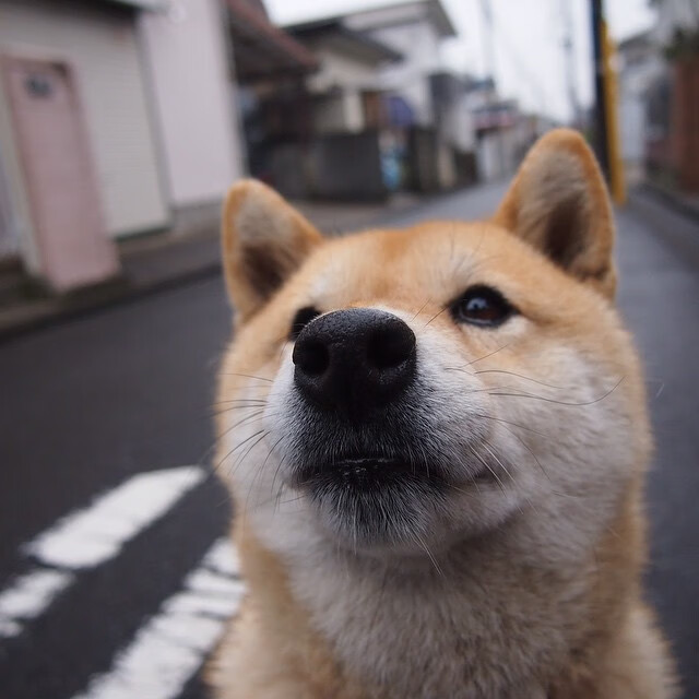 高校训练数据分析,训练成绩数据分析