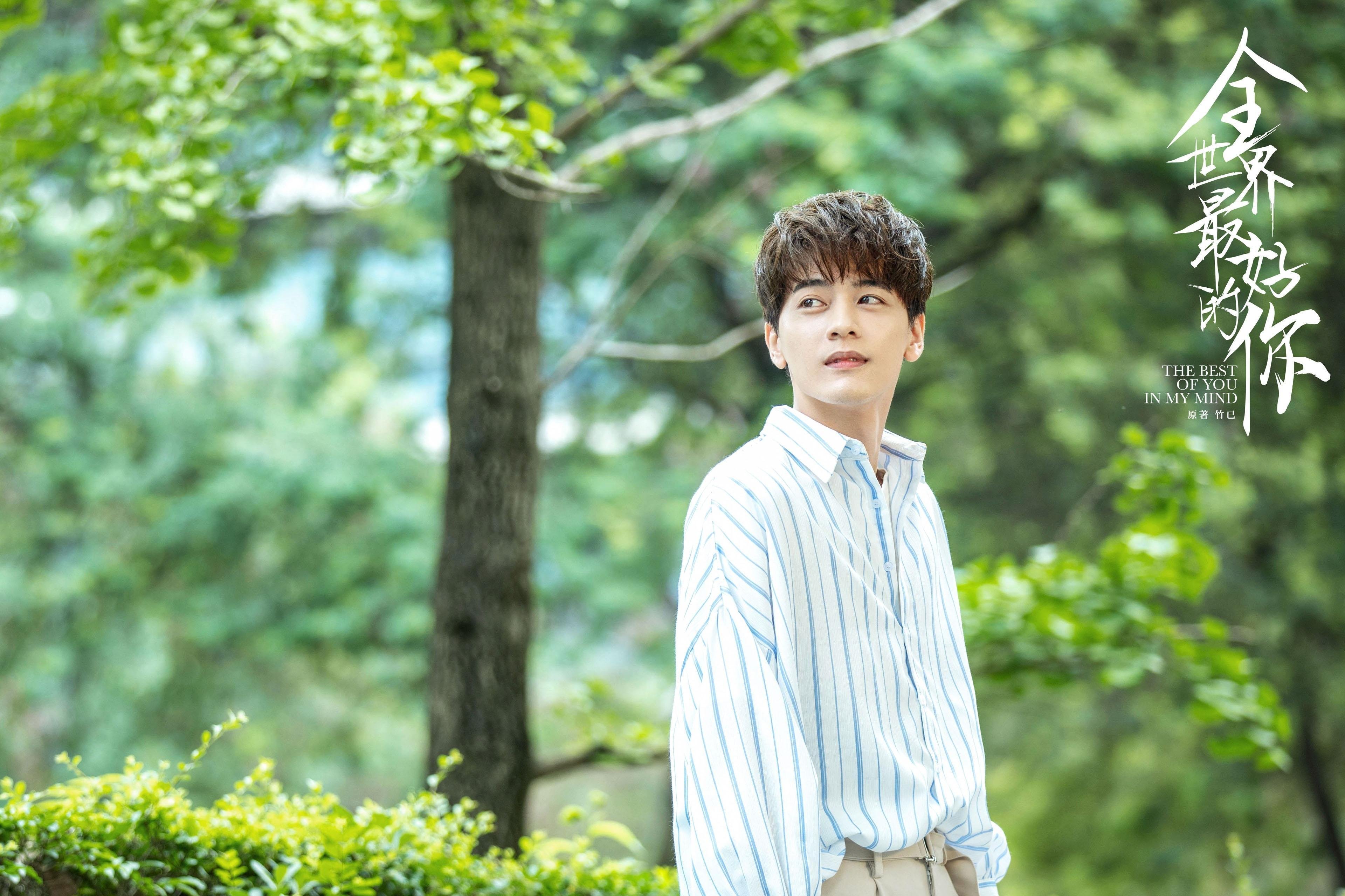 中美澳德蝶泳划幅对比分析报告,奥运蝶泳比赛视频