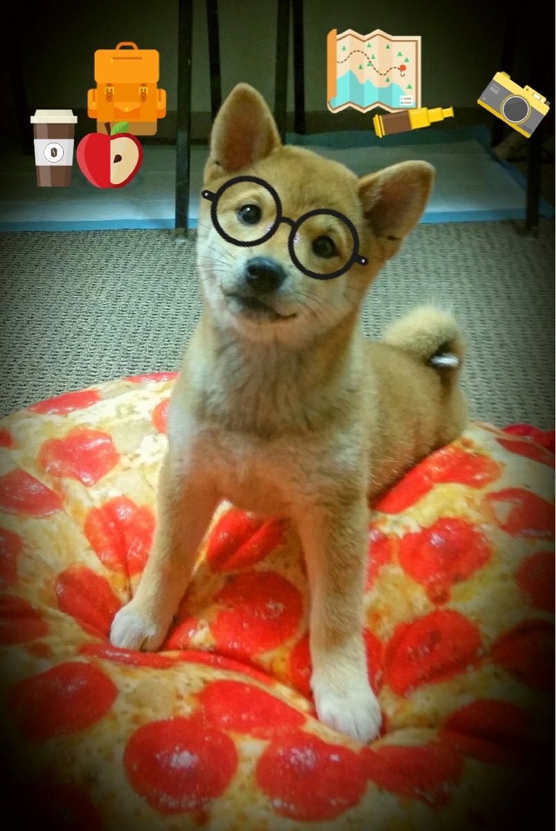 五大联赛是否重视第二落点保护率统计维度,五大联赛最后几名降级