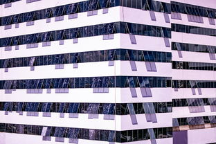 开云官网-体育新闻中心建设体育数字内容版权保护体系,体育数据新闻