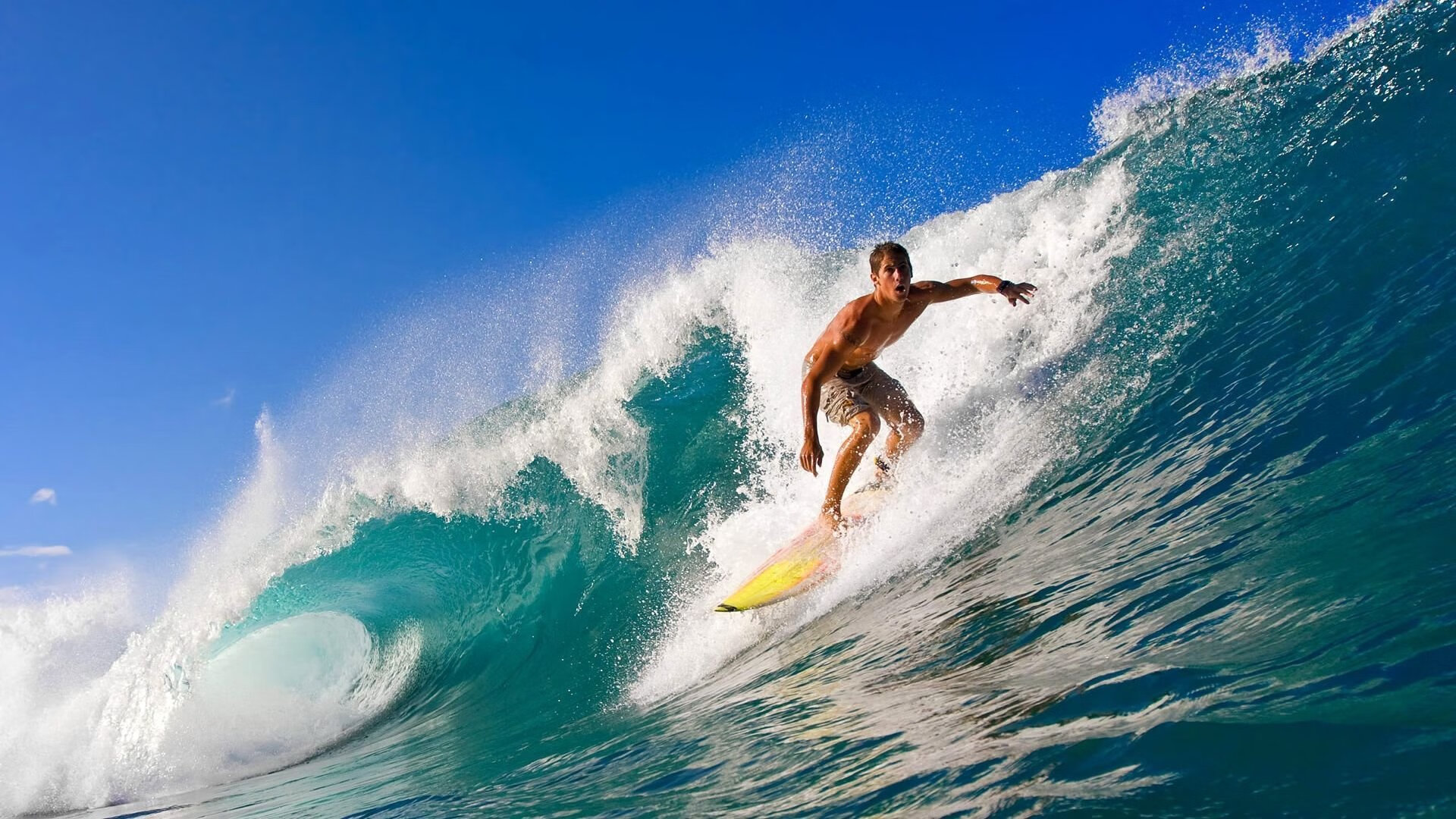 开云官方-“荒野追逐：穿越山谷与沙漠的极速之战”，荒野追踪电影剧情女主背叛
